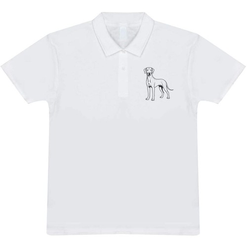 Rhodesian ridgeback dog - 'rhodesian, dog'