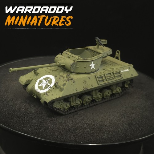 Pro painted 28mm - painted, action