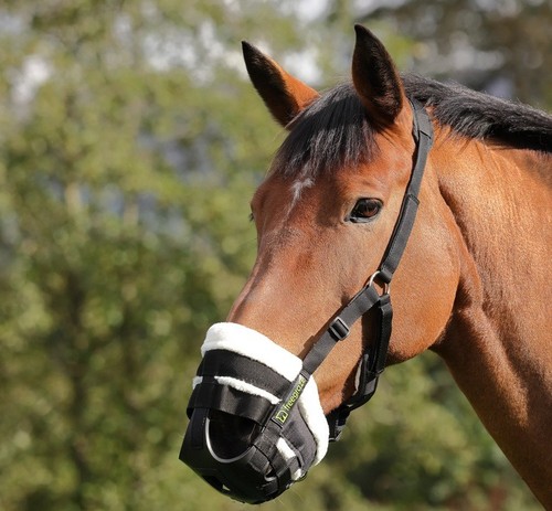 Shires free graze deluxe - shires,
