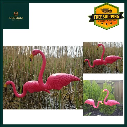 Pair pink lawn - lawn, pond