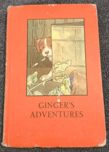 Vintage ladybird ginger - vintage,