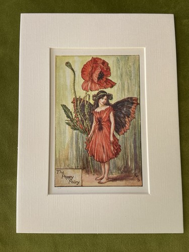 Poppy flower fairy - ‘poppy’,