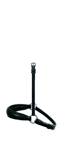 Passier interchangeable lug - passier,