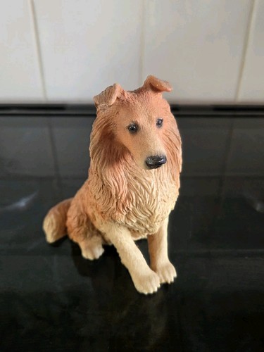Castagna rough collie - castagna,