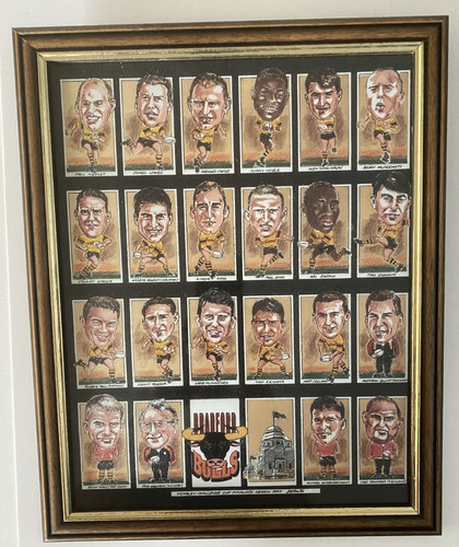 Bradford bulls 1997 challenge - bradford,