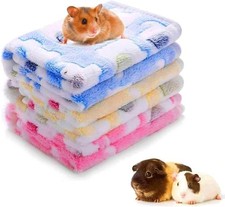 ASOCEA 3 Pack Guinea Pigs