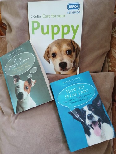 Puppy dog books 3 bundle - puppy,