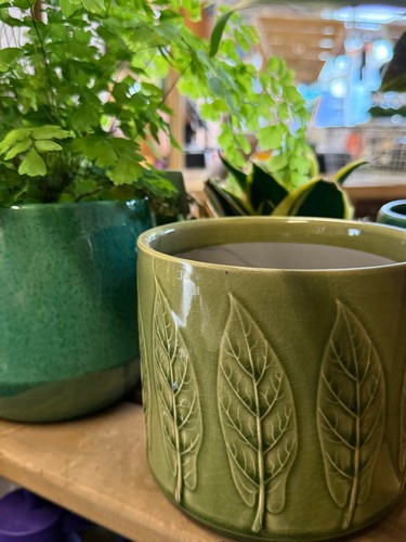 Ceramic green bay - ceramic,