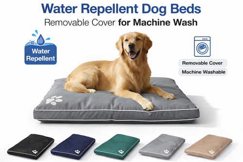 Waterproof pet dog - pet,