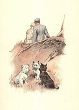 Vintage Cairn West Highland