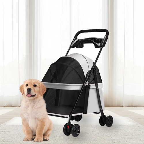 Pet stroller dog - dog, puppy