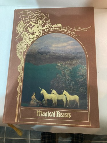 The enchanted world - world, 1991