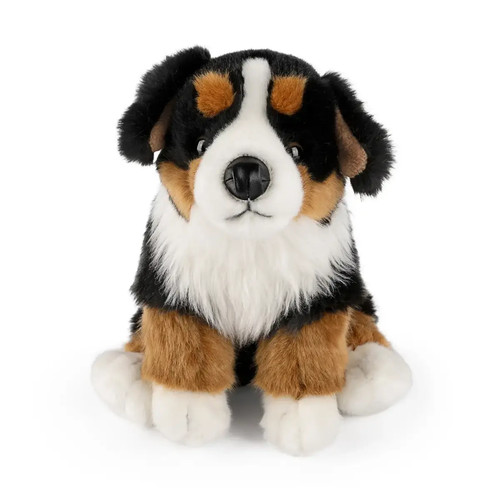 Living nature an674 bernese - living,