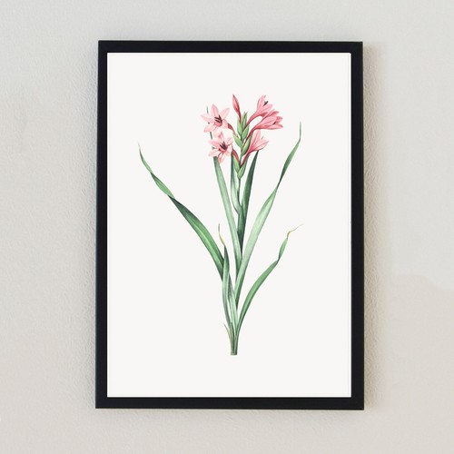 Vintage botanical flower - botanical,