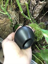 Mourning gecko Egg hide X3