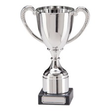Hunter Trophies Silver Budget Cups Achievement Award 3 Sizes FREE Engraving