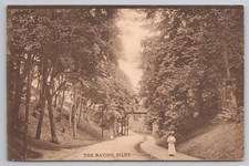 Filey "The Ravine" Postcard