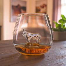 Tumbler Drinking Glass Large