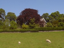 Photo house near denton - photo, a3