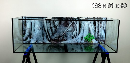 Long aquarium 620l - aquarium,