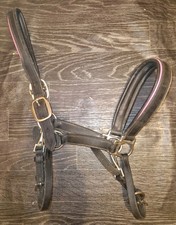 Elevator Leather Headcollar