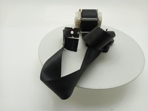 Ford focus max - focus, belt
