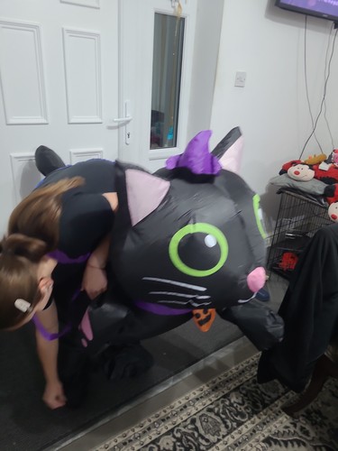 Inflatable cat costume for - cat,