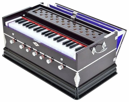 Indian musical instrument - indian,