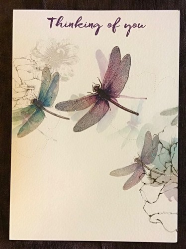 Beautiful dragonflies - beautiful,