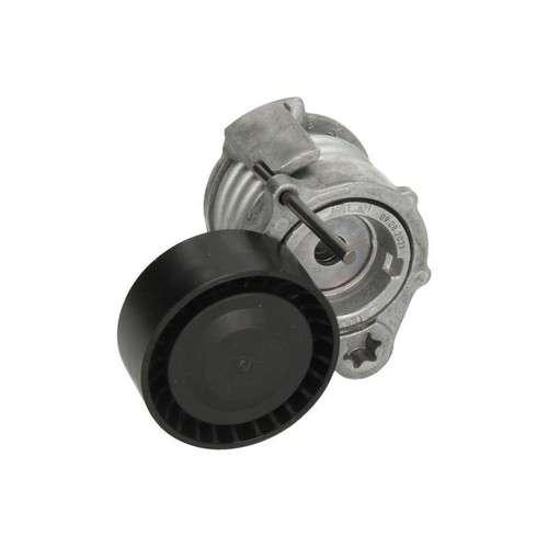 Multi belt tensioner - belt,