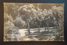 Tresco Gardens, Isles Of