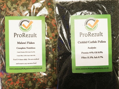 Tropical fish food malawi - fish,