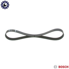 VRIBBED BELT 1 987 946 119 FOR
