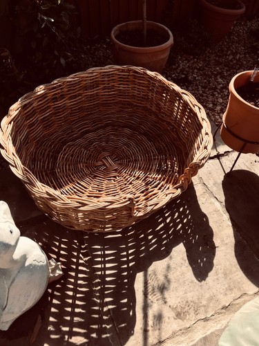 Wicker basket dog - basket,