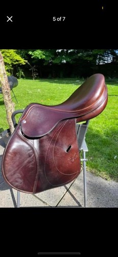 Equipe expression jump saddle - jump,