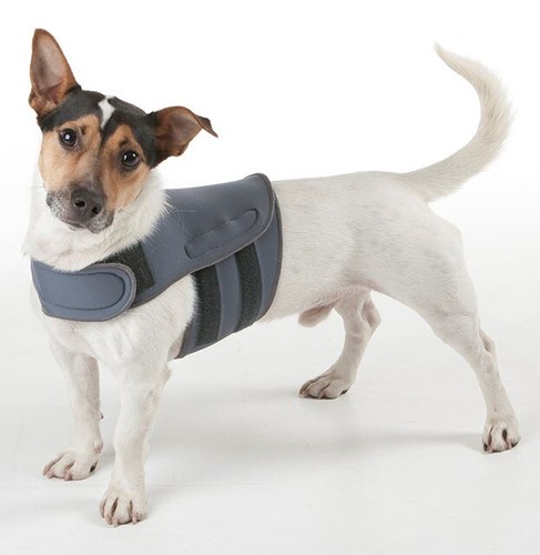 Thundershirt karma coat dog - thundershirt, karma-coat