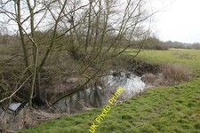 Photo A1 River Weaver near Austerston Hack Green This is the juvenile Ri c2010