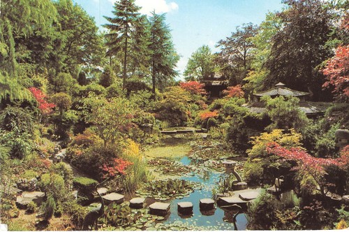 Japanese garden stepping - garden,
