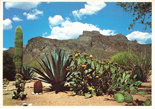 Postcard superstition - az,