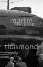 Marylebone A4 60022 Mallard
