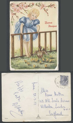 Girl rooster chicks birds - girl,