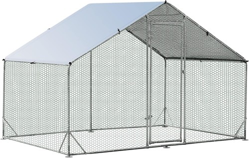 Large walk chicken - large,