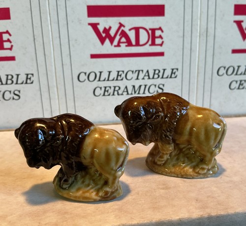 Wade bison buffalo red rose - wade,
