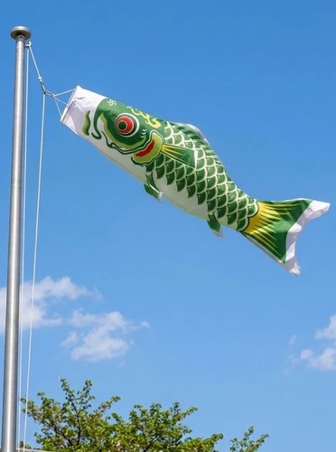 Japanese koi carp - koi, flying