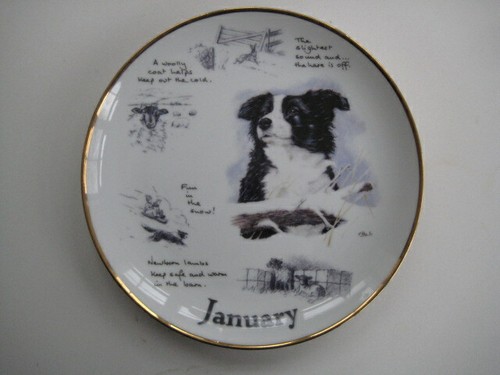 Danbury mint collector - danbury,