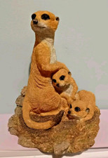 Country Artists Natural