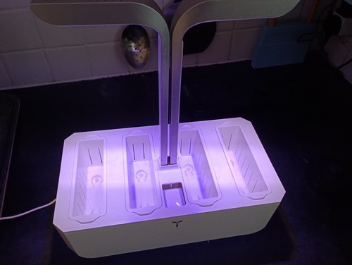 Hydroponic indoor garden - hydroponic,