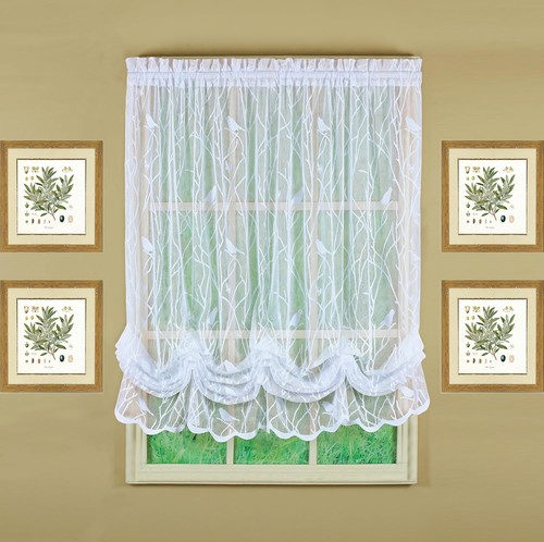 Today curtain songbird - curtain,,