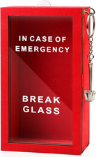 Birthday in Case of Present