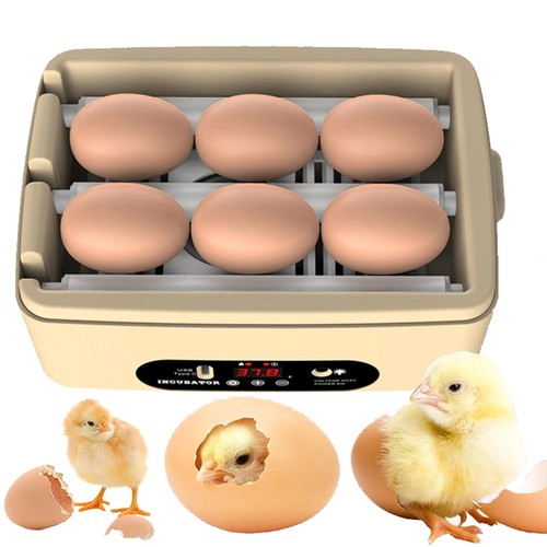 Egg incubators for - egg,